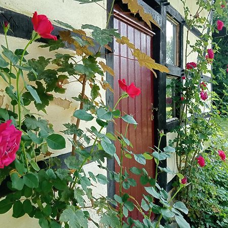 Bnb Het Geluk Van Limburg Mechelen Exterior photo